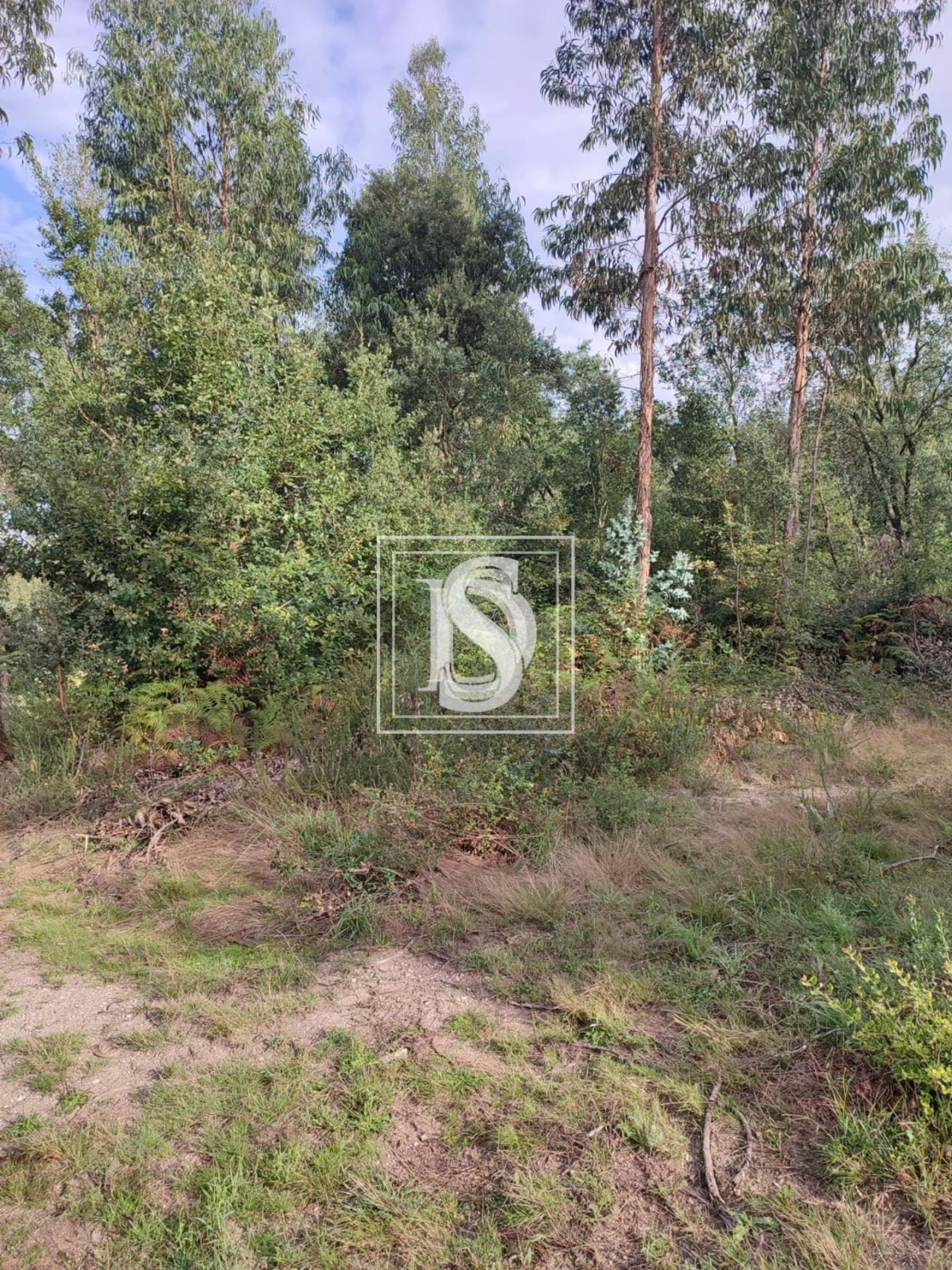 Terreno para Venda em Oliveira, São Paio e São Sebastião Foto 3