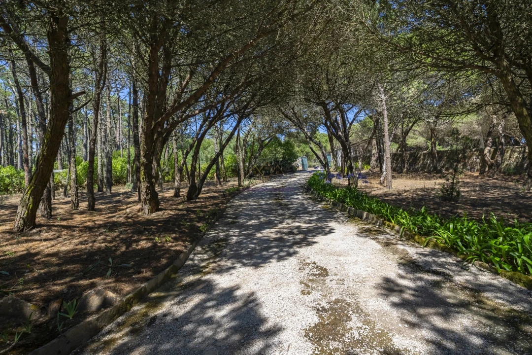 Moradia T3 para Venda em Colares Foto 19