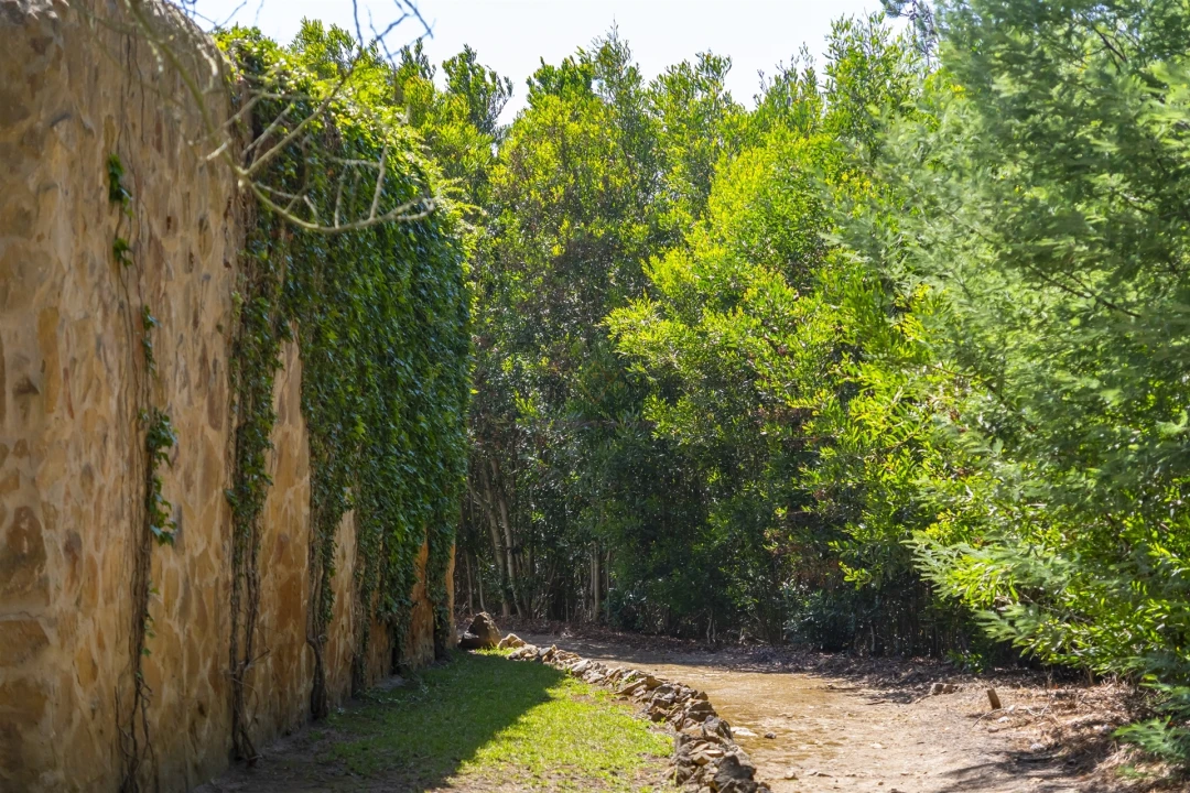 Moradia T3 para Venda em Colares Foto 24