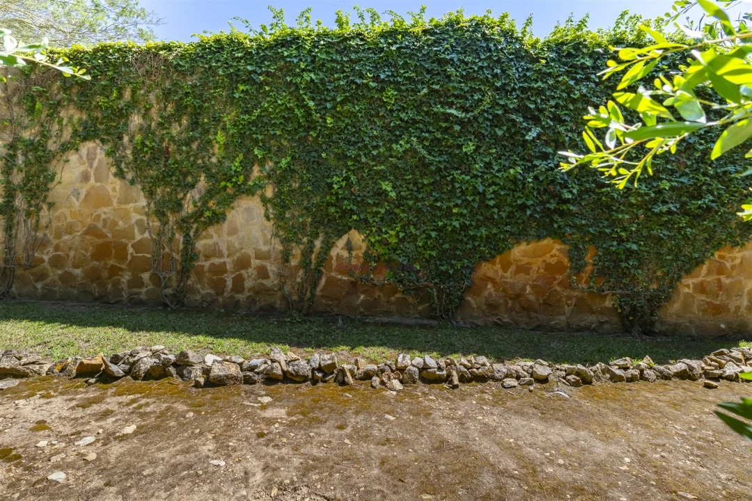 Moradia T3 para Venda em Colares Foto 25