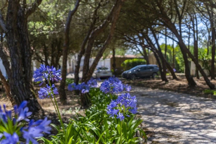 Moradia T3 para Venda em Colares Foto 20