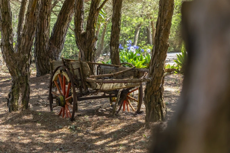 Moradia T3 para Venda em Colares Foto 22