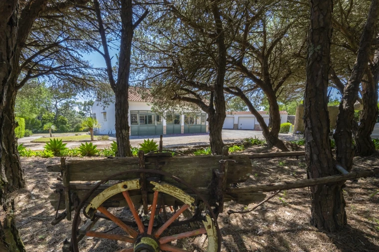 Moradia T3 para Venda em Colares Foto 11