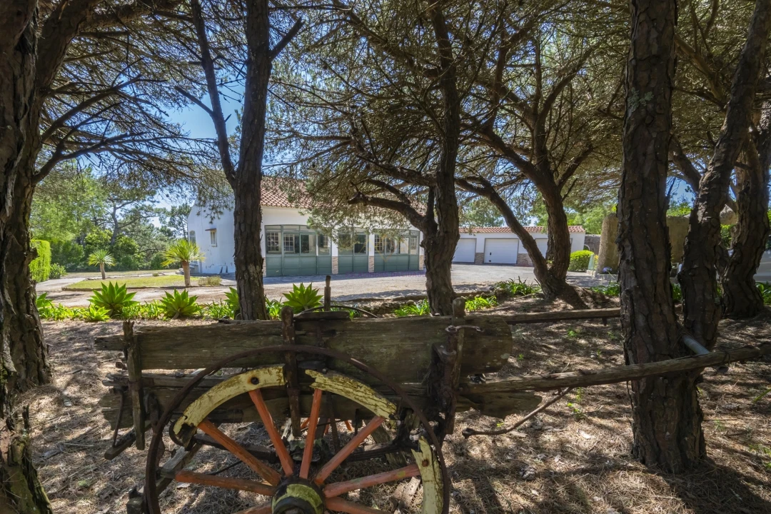 Moradia T3 para Venda em Colares Foto 11