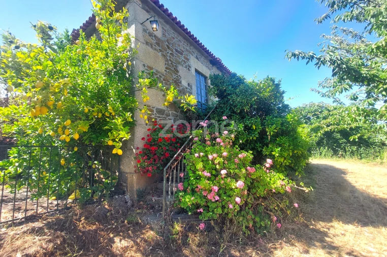 Moradia T7 para Venda em Armamar Foto 3