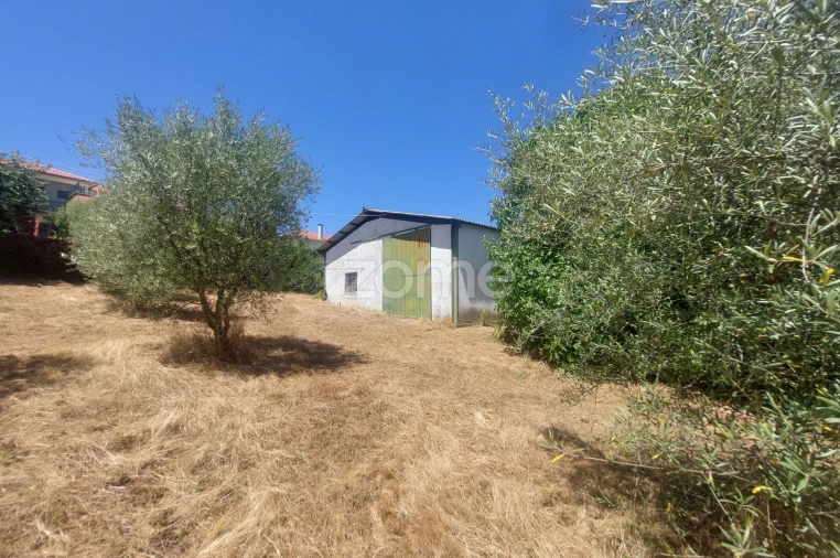 Moradia T7 para Venda em Armamar Foto 52