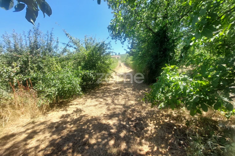 Moradia T7 para Venda em Armamar Foto 57