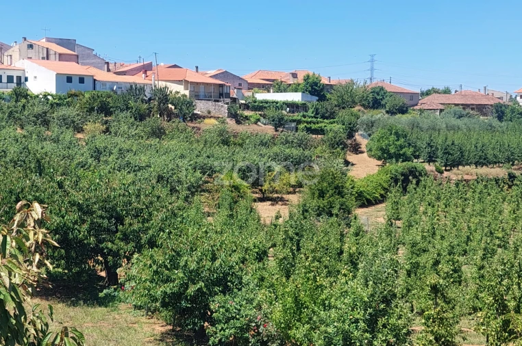 Moradia T7 para Venda em Armamar Foto 9