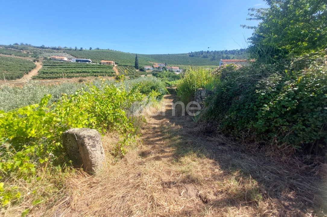 Moradia T7 para Venda em Armamar Foto 53