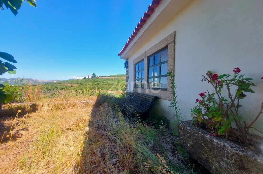 Moradia T7 para Venda em Armamar Foto 33