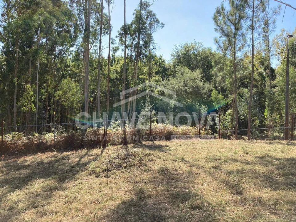 Terreno para Venda em Arcozelo Foto 2