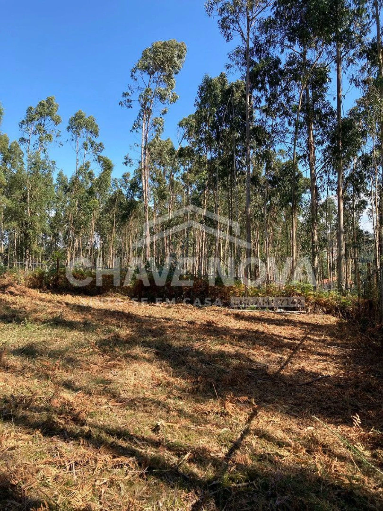 Terreno para Venda em Arcozelo Foto 7