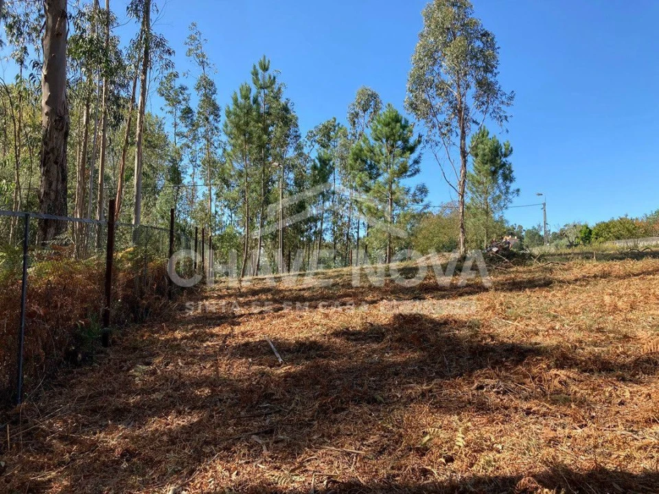 Terreno para Venda em Arcozelo Foto 8