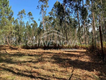 Terreno para Venda em Arcozelo