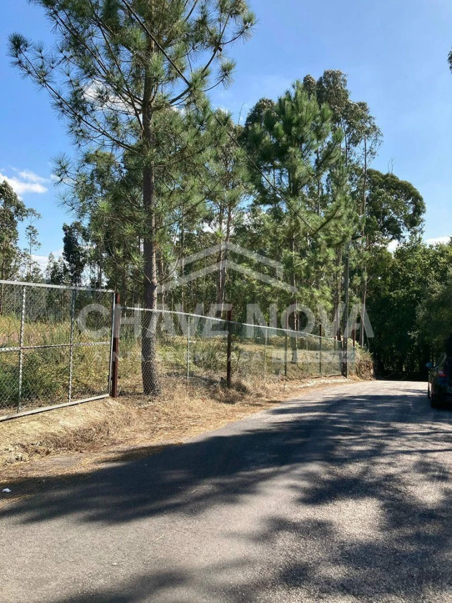 Terreno para Venda em Arcozelo Foto 5