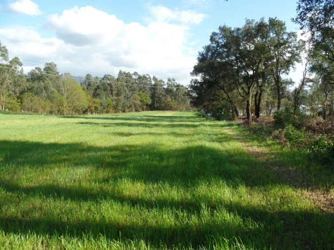Terreno para Venda em Areias, Sequeirô, Lama e Palmeira Foto 1