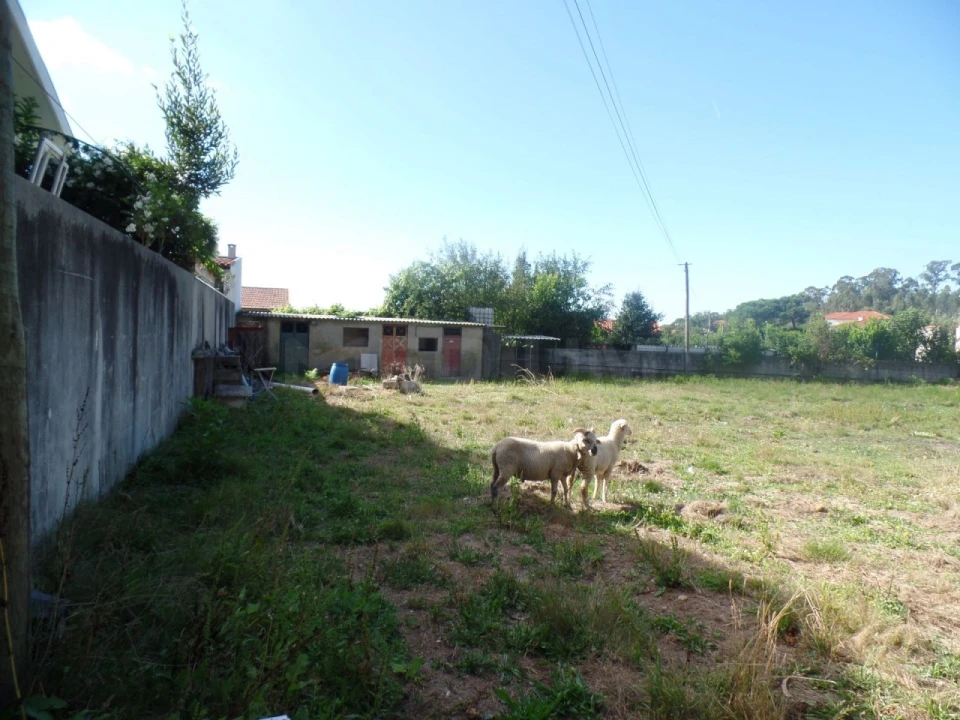 Terreno para Venda em Areias, Sequeirô, Lama e Palmeira Foto 6