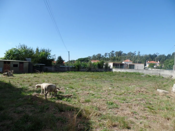 Terreno para Venda em Areias, Sequeirô, Lama e Palmeira Foto 3