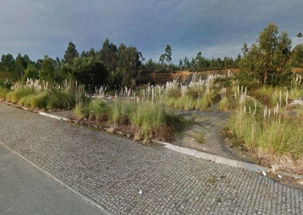 Terreno Comércio / Armazém para Venda em Ribeirão Foto 4