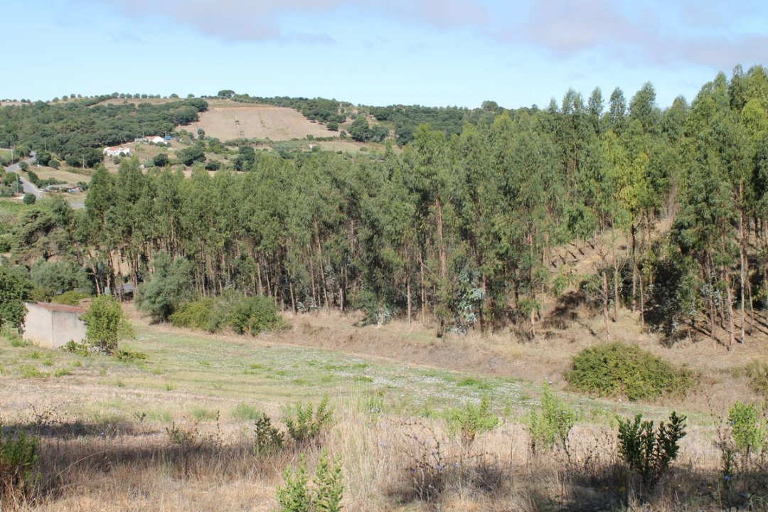 Terreno para Venda em Vale do Paraiso Foto 6
