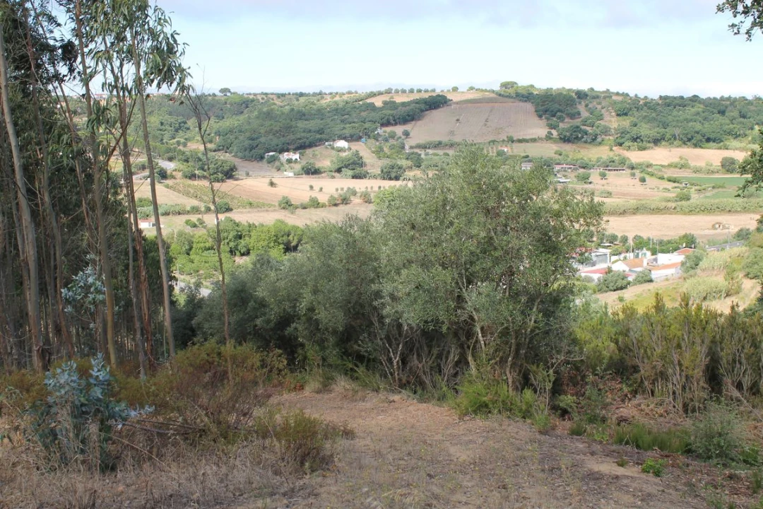 Terreno para Venda em Vale do Paraiso Foto 5