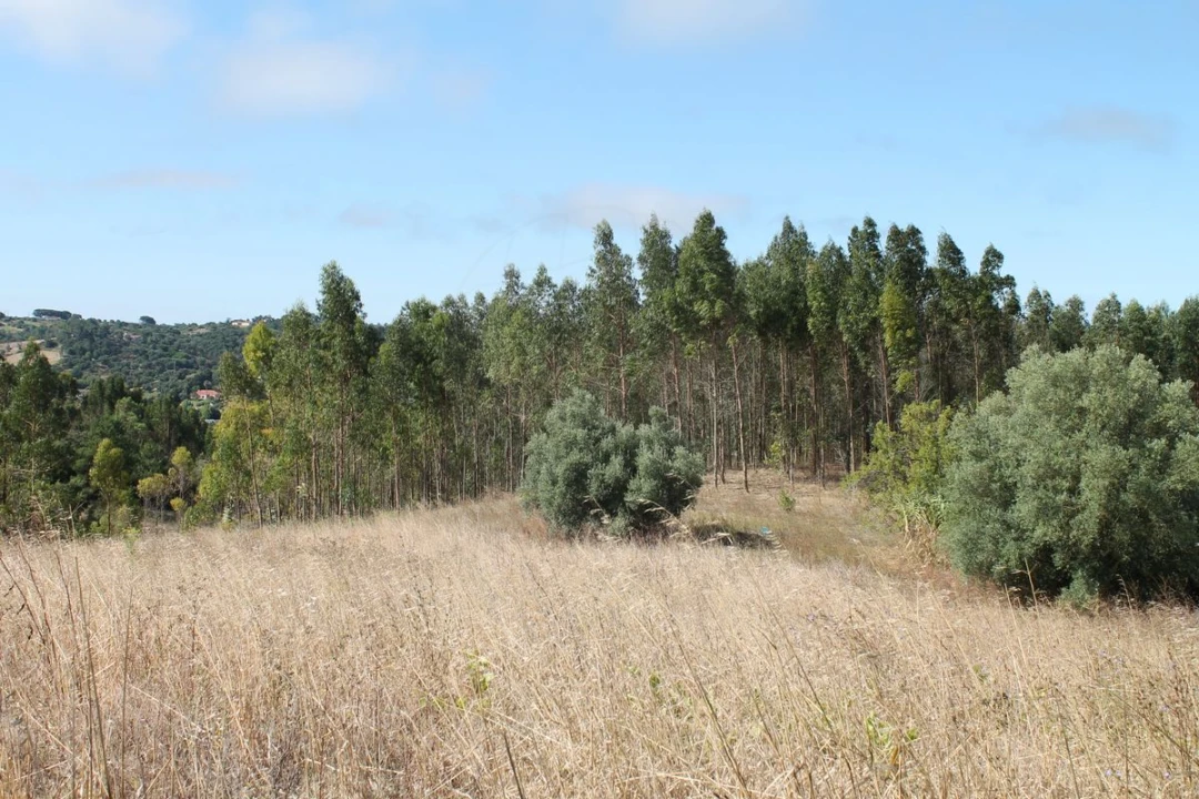 Terreno para Venda em Vale do Paraiso Foto 2