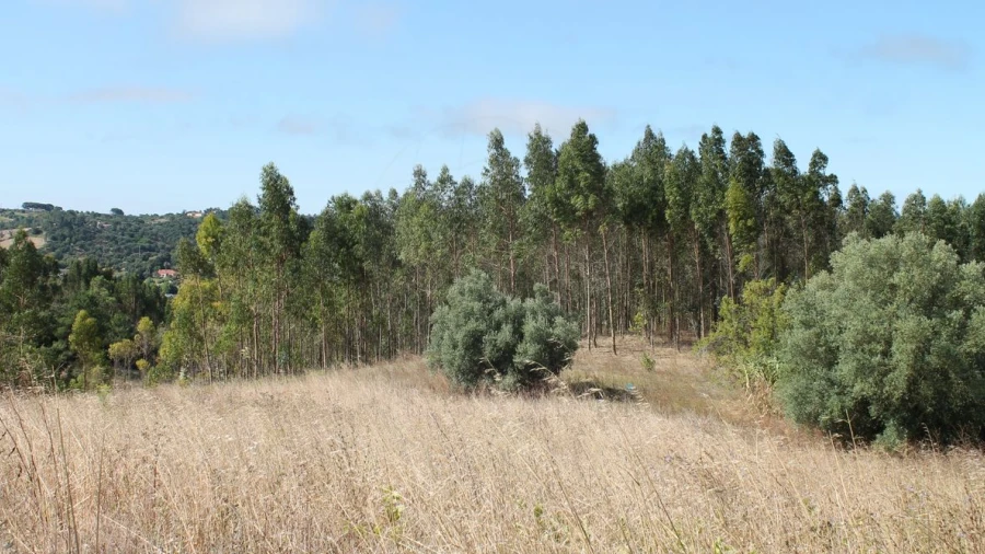 Terreno para Venda em Vale do Paraiso