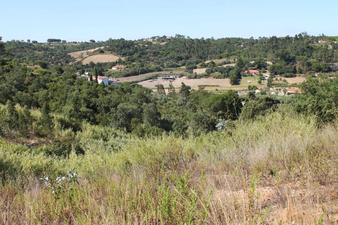Terreno para Venda em Vale do Paraiso Foto 5
