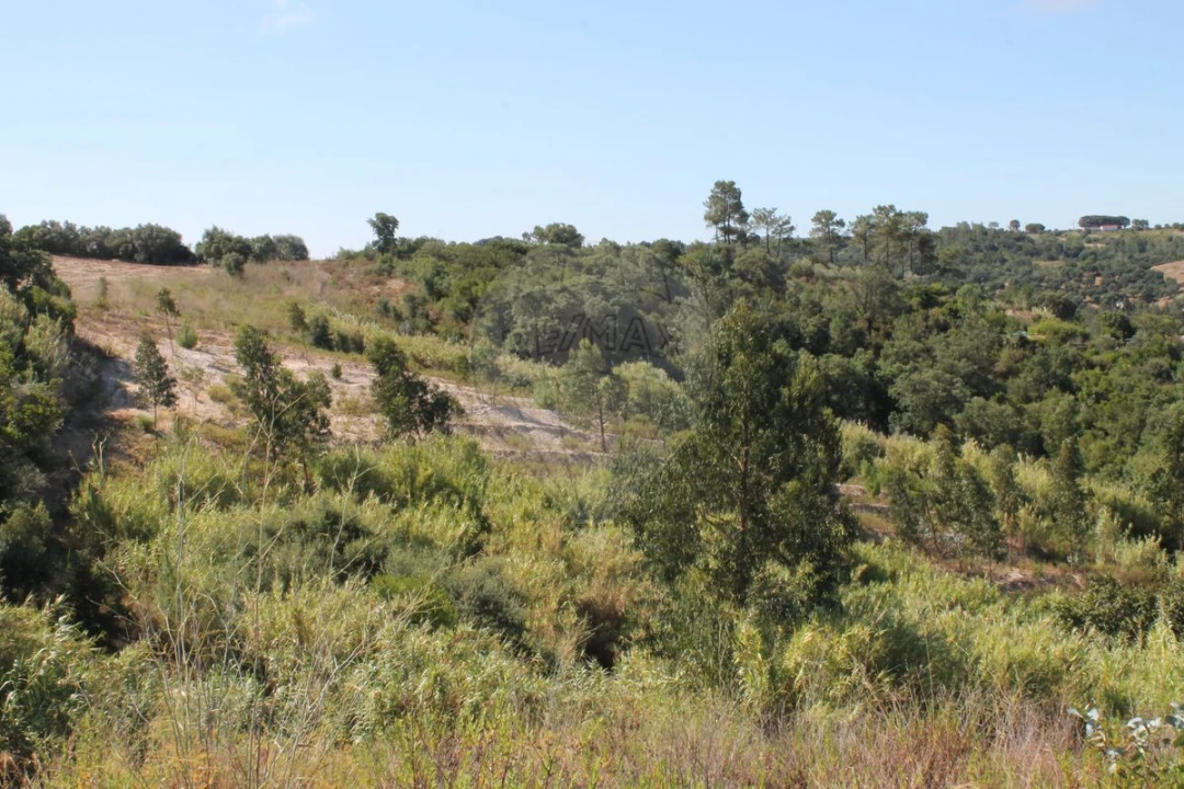 Terreno para Venda em Vale do Paraiso Foto 4