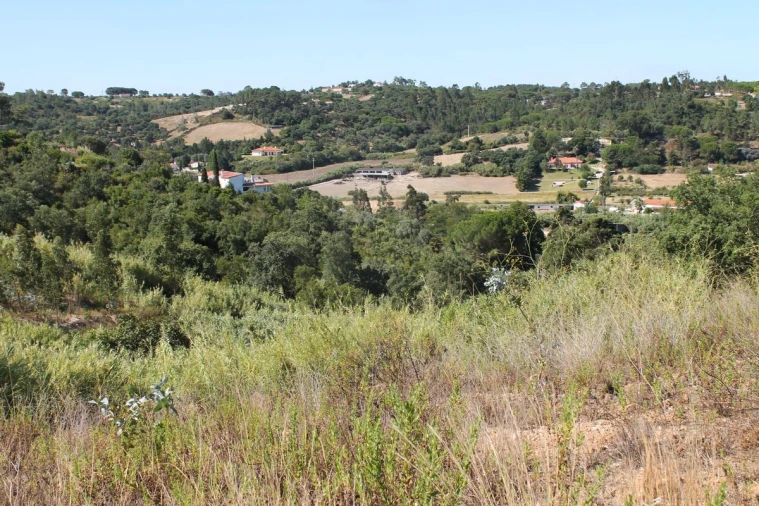 Terreno para Venda em Vale do Paraiso Foto 5
