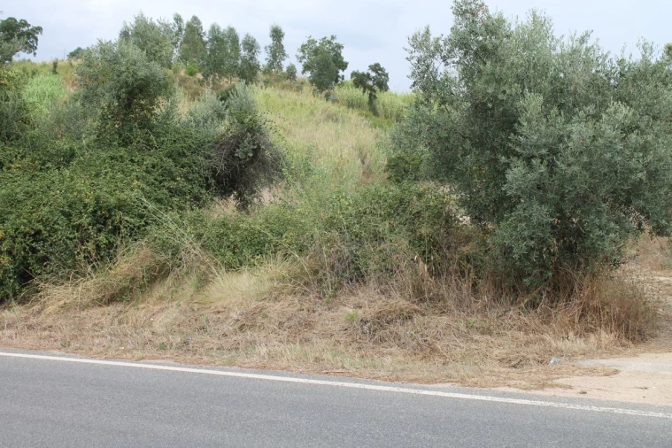 Terreno para Venda em Vale do Paraiso Foto 8