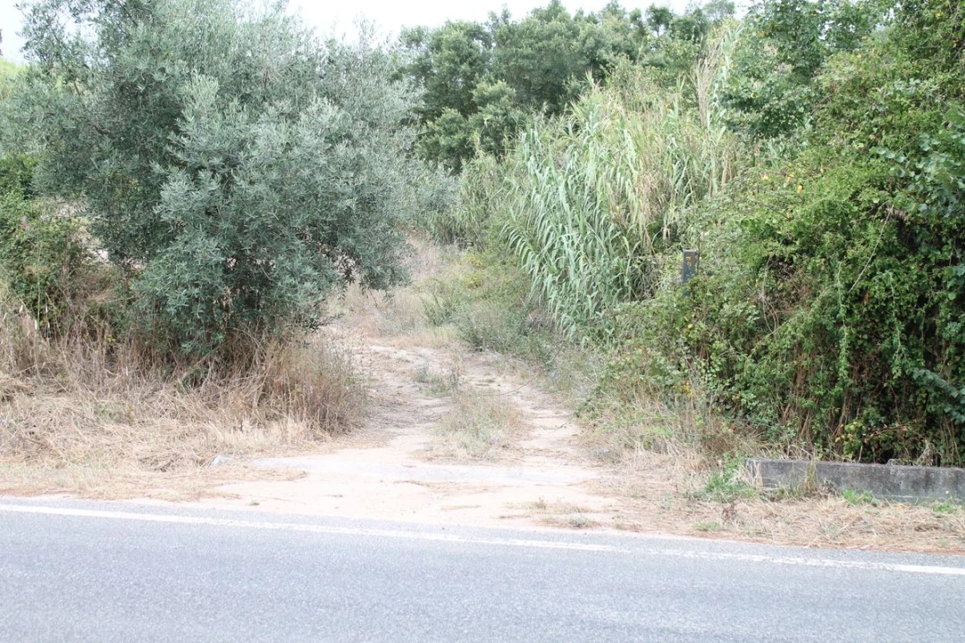 Terreno para Venda em Vale do Paraiso Foto 9
