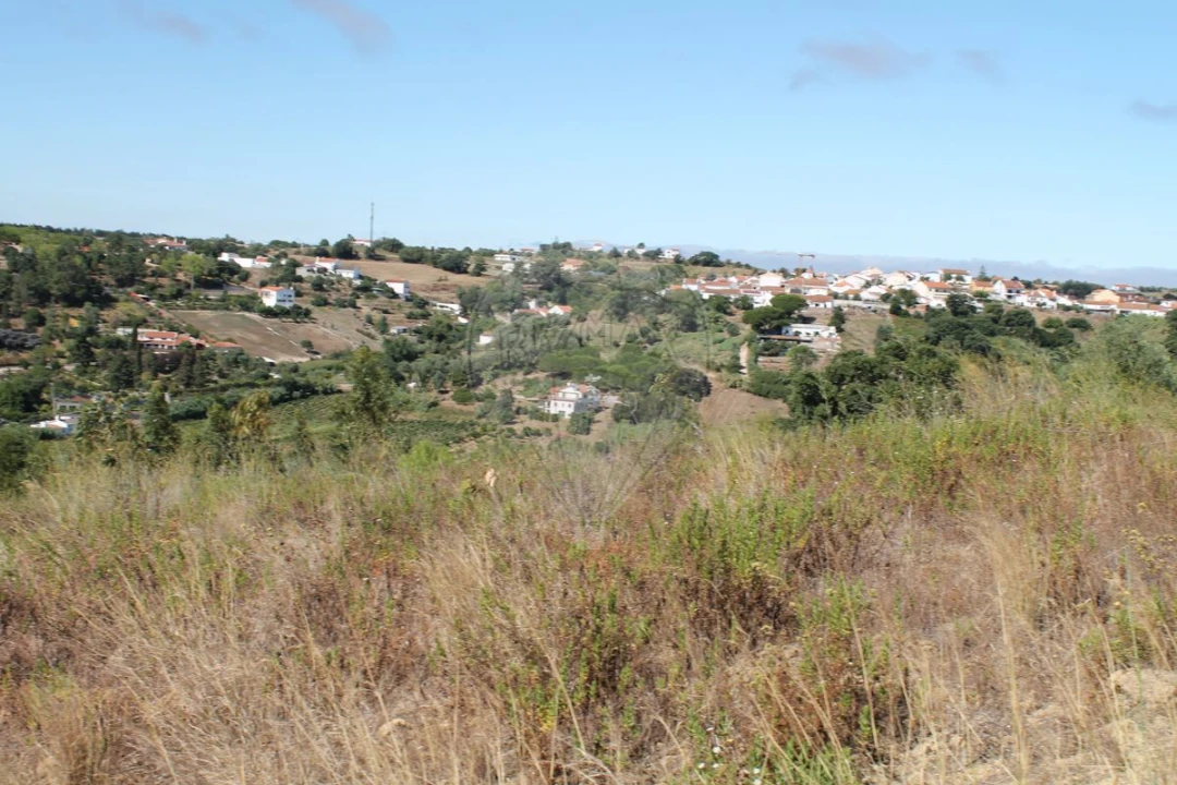 Terreno para Venda em Vale do Paraiso Foto 3