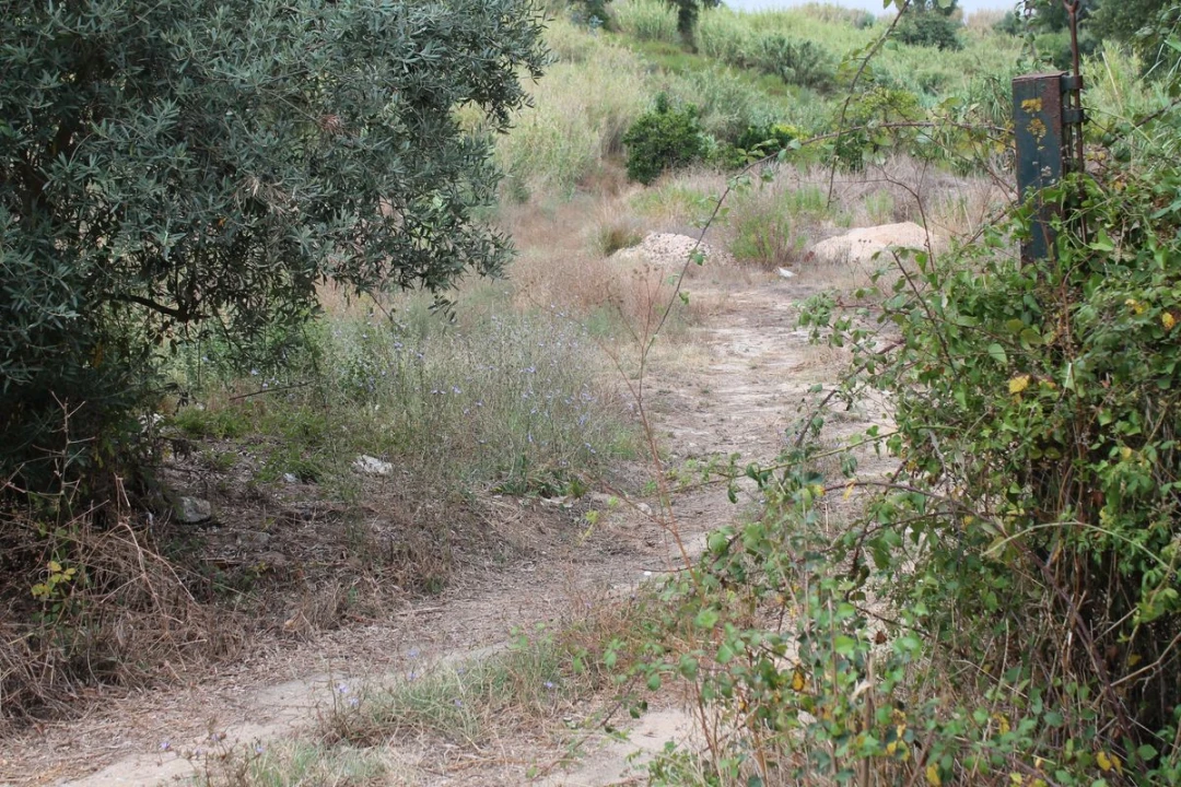 Terreno para Venda em Vale do Paraiso Foto 7