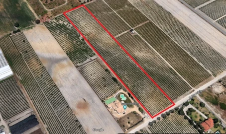 Terreno para Venda em Palmela