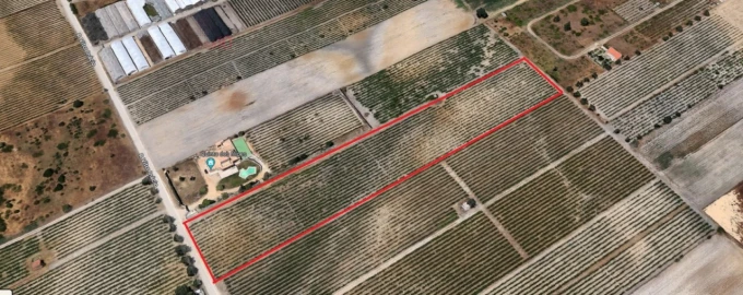 Terreno para Venda em Palmela