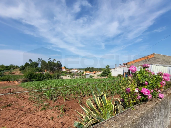 Terreno para Venda em São João de Loure e Frossos Foto 2