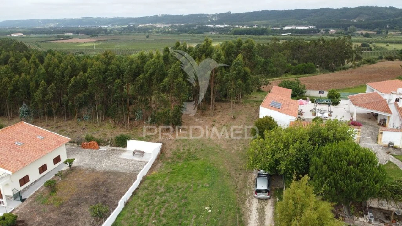 Terreno para Venda em Tornada e Salir do Porto Foto 6
