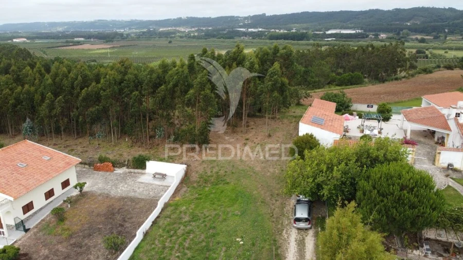 Terreno para Venda em Tornada e Salir do Porto Foto 6