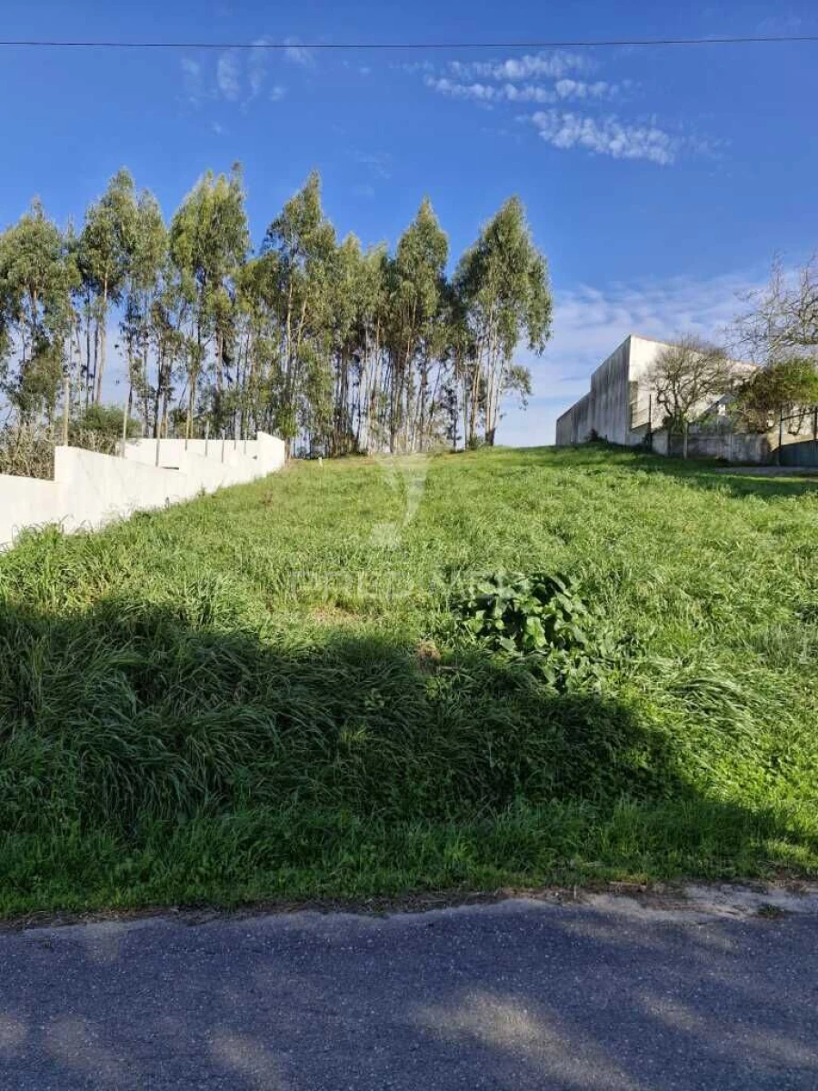 Terreno para Venda em Tornada e Salir do Porto Foto 5