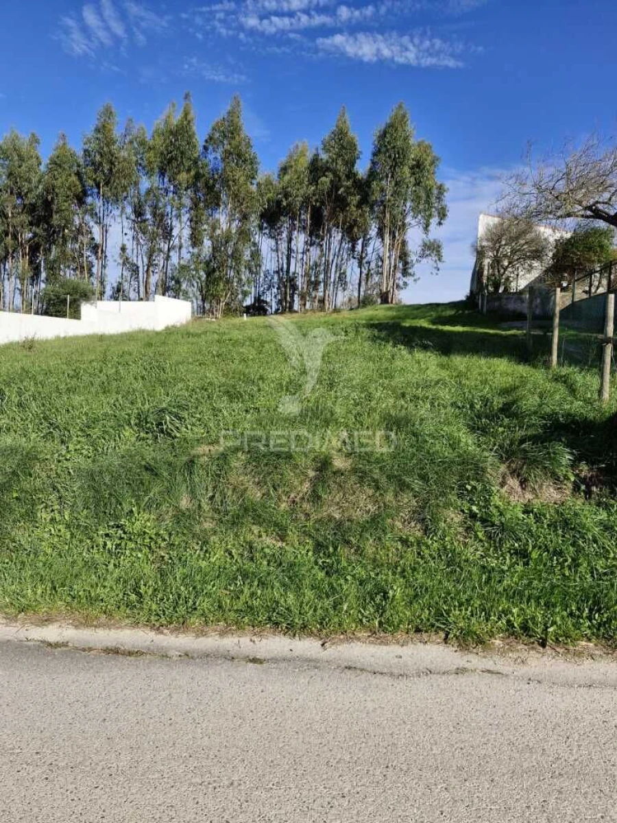 Terreno para Venda em Tornada e Salir do Porto Foto 3