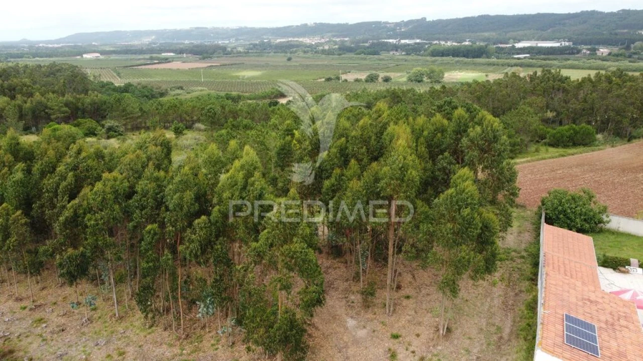 Terreno para Venda em Tornada e Salir do Porto Foto 7