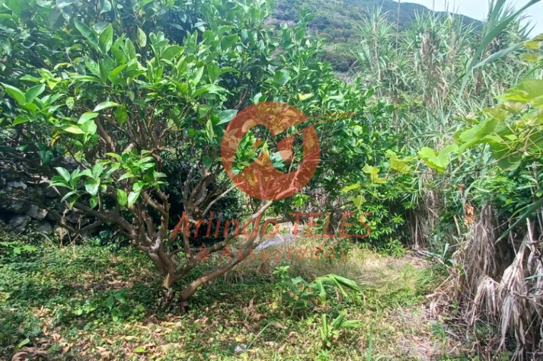 Moradia T2 para Venda em Santo Antão Foto 12