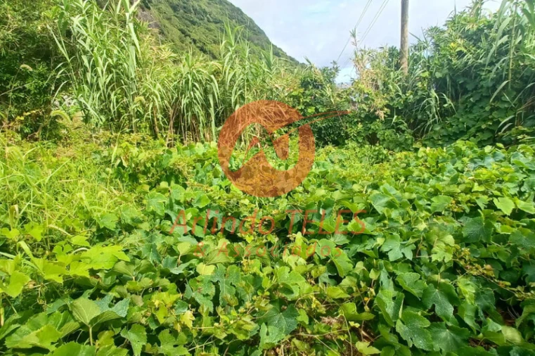 Moradia T2 para Venda em Santo Antão Foto 14