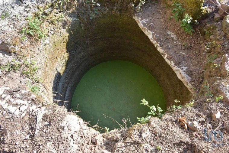Terreno para Venda em Espinhal Foto 12