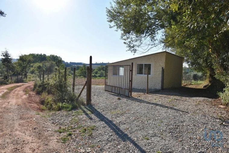 Terreno para Venda em Espinhal Foto 5