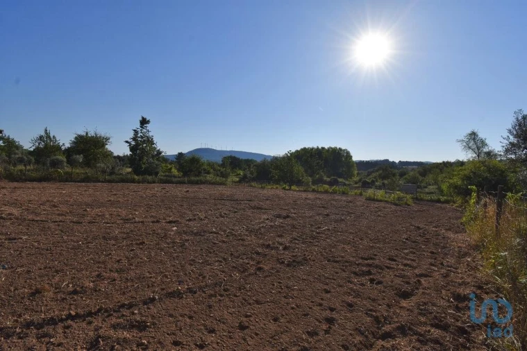 Terreno para Venda em Espinhal Foto 11