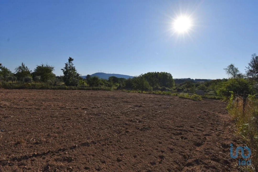 Terreno para Venda em Espinhal Foto 11