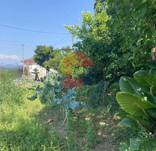 Moradia para Venda em Parada de Gatim Foto 19