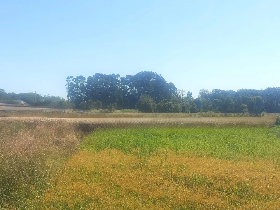 Terreno para Venda em Póvoa de Varzim, Beiriz e Argivai Foto 1